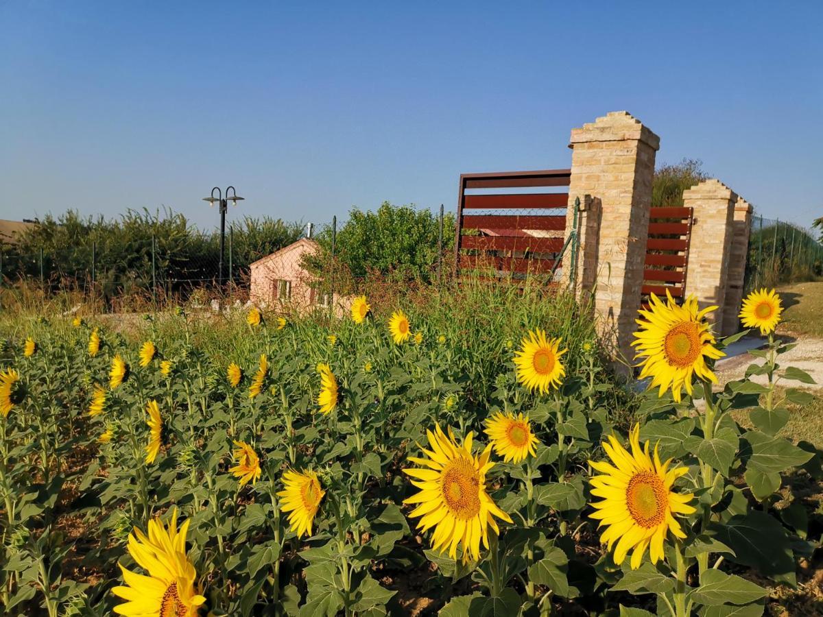 B&B Ceresa - Country House Loreto Ngoại thất bức ảnh